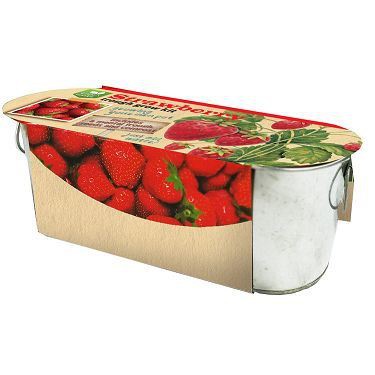 product-1-1 198826 Home Through Growing Kit new(001)