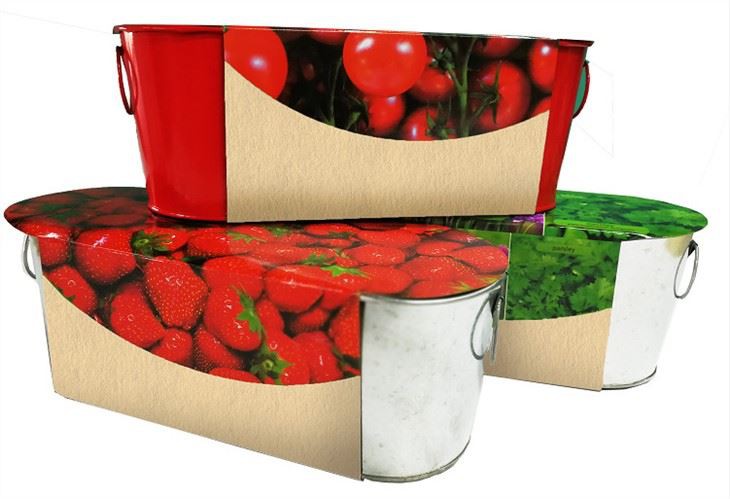 Window Through Growing Kit