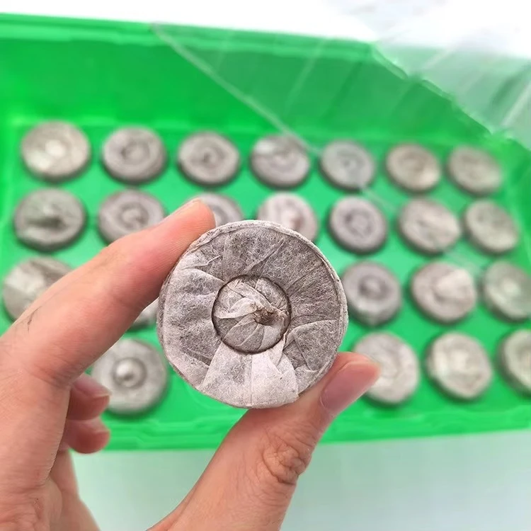 28 Cells Garden Seed Starter Kit with coco plugs