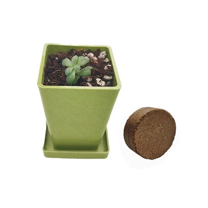 Mini négyzet alakú bambuszszálas növényi edény