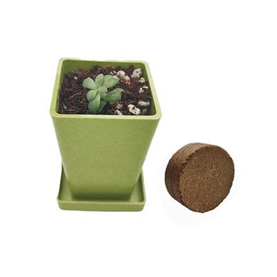 Mini négyzet alakú bambuszszálas növényi edény