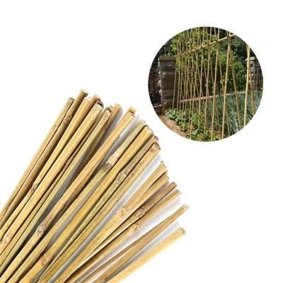 Bambusz vesszők a kerthez